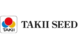 TAKİİ SEED