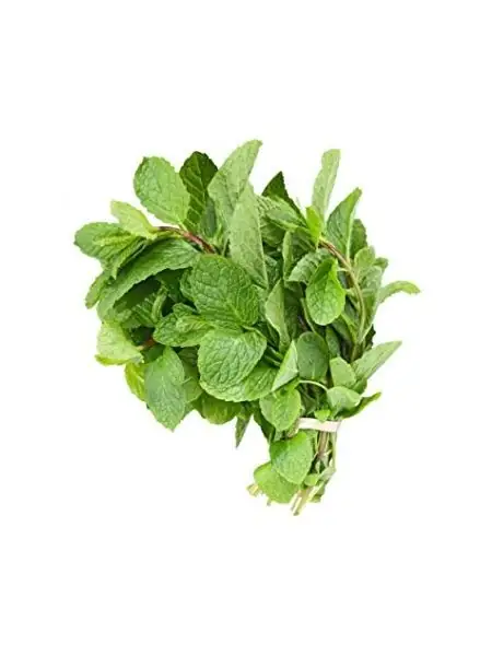 MINT NANE - Detay 2