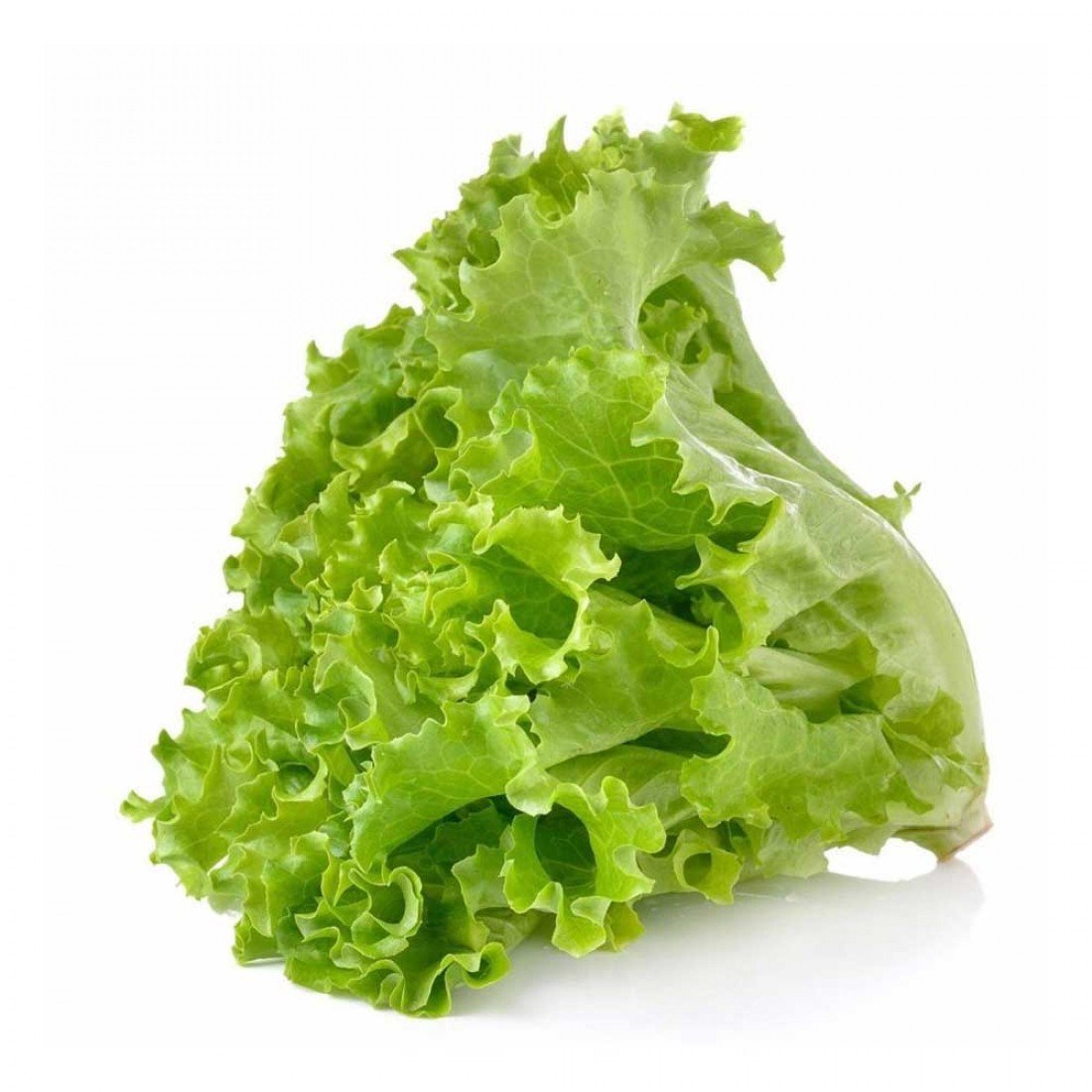 BUKLE